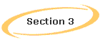 Section 3